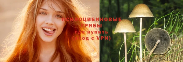 a pvp Елабуга