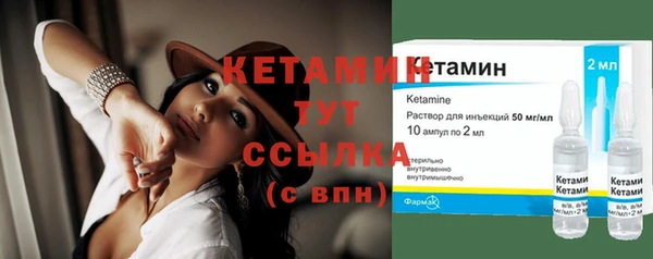 прущие крисы Ельня
