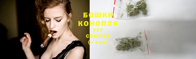 прущие крисы Ельня