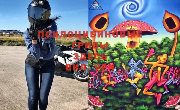 a pvp Елабуга