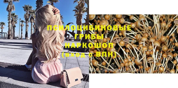 дурь Заводоуковск