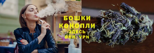 прущие крисы Ельня