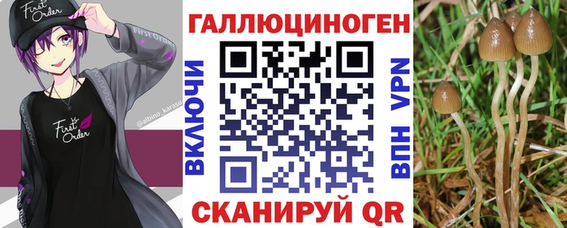 Купить закладки  Бирюч  Псилоцибиновые грибы MAGIC MUSHROOMS 